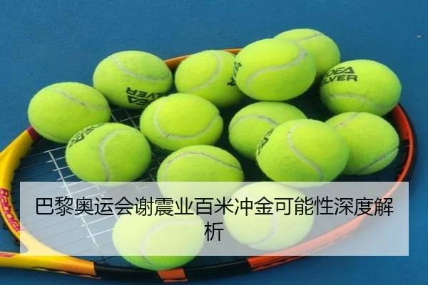 巴黎奥运会谢震业百米冲金可能性深度解析