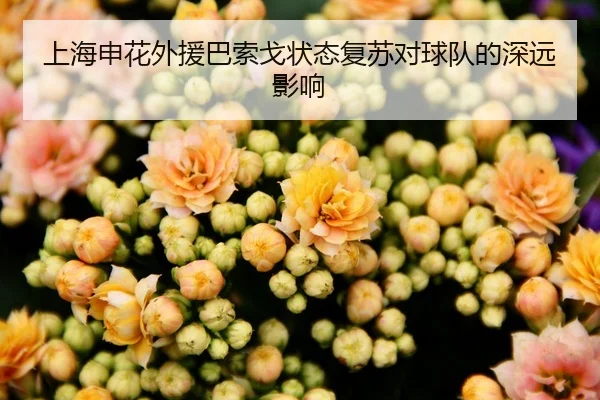 上海申花外援巴索戈状态复苏对球队的深远影响